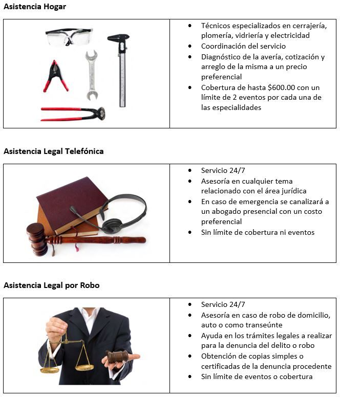 Odoo • Imagen y texto